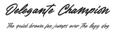 Delegante Champion by Typeline Studio — Script Handwritten Font — thumbnail 1
