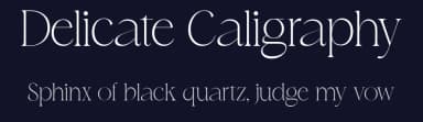 Delicate Caligraphy by VampStudio — Serif Font — thumbnail 2
