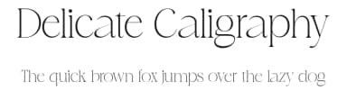 Delicate Caligraphy by VampStudio — Serif Font — thumbnail 1