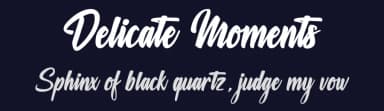 Delicate Moments by Octotype  | Thomas Boucherie — Script Handwritten Font — thumbnail 2