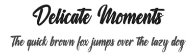 Delicate Moments by Octotype  | Thomas Boucherie — Script Handwritten Font — thumbnail 1