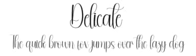 Delicate by Andi Moz — Script Handwritten Font — thumbnail 1
