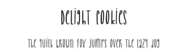 Delight Cookies by Sronstudio — Script Handwritten Font — thumbnail 1