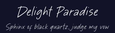 Delight Paradise by Timur Type — Script Handwritten Font — thumbnail 2