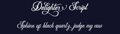 Delighter Script by Ferry Septian — Script Handwritten Font — thumbnail 2