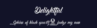 Delightful by Octotype  | Thomas Boucherie — Script Handwritten Font — thumbnail 2