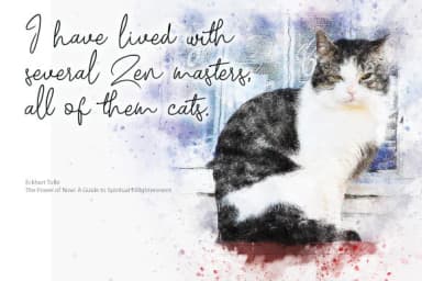 Delillah Font by VNM Creative Studio — Script Handwritten Font — thumbnail 4