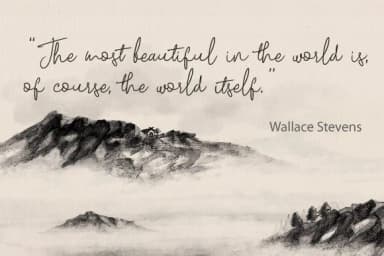 Delillah Font by VNM Creative Studio — Script Handwritten Font — thumbnail 5