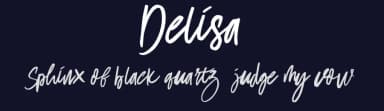 Delisa by Mr Letters — Script Handwritten Font — thumbnail 2