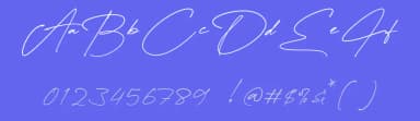 Dellany Signature by FinTypeStudio — Script Handwritten Font — thumbnail 3