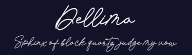 Dellima by inst.ink!type — Script Handwritten Font — thumbnail 2
