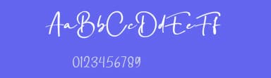 Dellimun by Bale — Script Handwritten Font — thumbnail 3