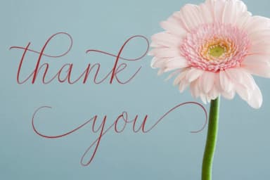 Dellove Font by parawtype — Script Handwritten Font — thumbnail 5