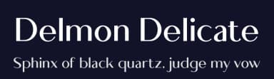 Delmon Delicate by Atha Ruah — Sans Serif Font — thumbnail 2