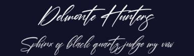 Delmonte Hunters by Perspectype Studio - Letterena.com — Script Handwritten Font — thumbnail 2