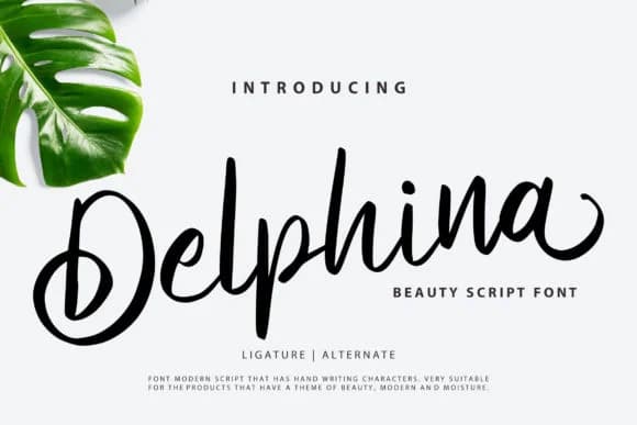 Delphina Font by Vunira — Script Handwritten Font