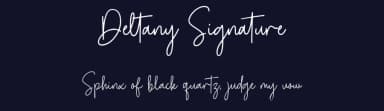 Deltany Signature by Typebae Foundry — Script Handwritten Font — thumbnail 2