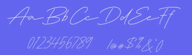 Deluna Signature by Pen Culture — Script Handwritten Font — thumbnail 3