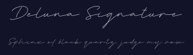 Deluna Signature by Pen Culture — Script Handwritten Font — thumbnail 2