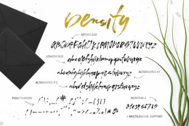 Density Font by Favete Art — Script Handwritten Font — thumbnail 9