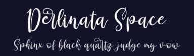 Derlinata Space by Perspectype Studio - Letterena.com — Script Handwritten Font — thumbnail 2