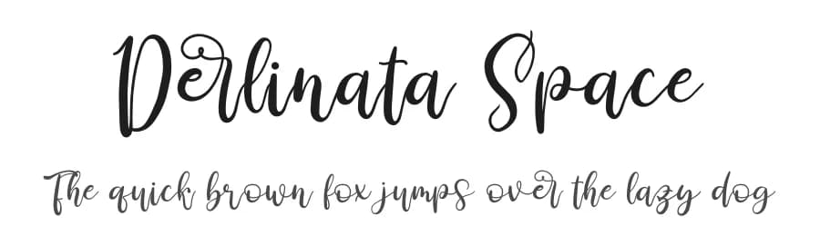 Derlinata Space by Perspectype Studio - Letterena.com — Script Handwritten Font