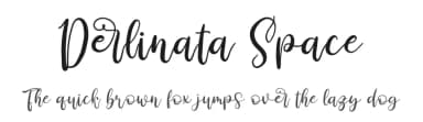 Derlinata Space by Perspectype Studio - Letterena.com — Script Handwritten Font — thumbnail 1