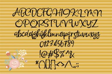 Destination Wedding Font by Illustration Ink — Script Handwritten Font — thumbnail 2