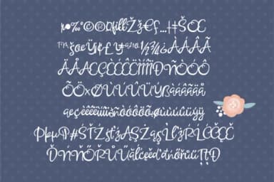 Destination Wedding Font by Illustration Ink — Script Handwritten Font — thumbnail 3