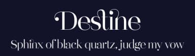 Destine by Ef Studio — Serif Font — thumbnail 2