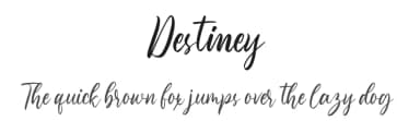 Destiney by FatmaStudio — Script Handwritten Font — thumbnail 1