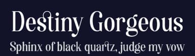 Destiny Gorgeous by HansCo — Serif Font — thumbnail 2