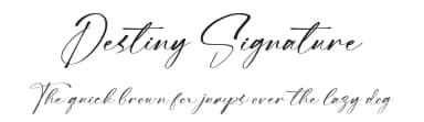Destiny Signature by Moove Studio — Script Handwritten Font — thumbnail 1