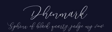 Dhenmark by Balya Studio — Script Handwritten Font — thumbnail 2