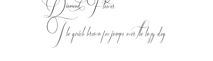 Diamond Flower by VinType — Script Handwritten Font