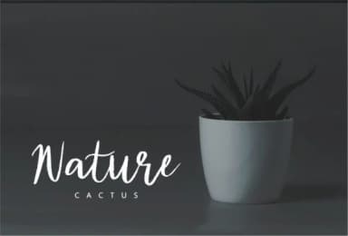 Diana Rough Font by Vunira — Script Handwritten Font — thumbnail 4