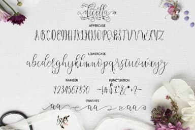 Dicella Font by Bexx Type — Script Handwritten Font — thumbnail 4