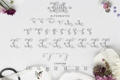 Dicella Font by Bexx Type — Script Handwritten Font — thumbnail 5