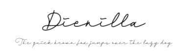 Dienilla by Abo Daniel Studio — Script Handwritten Font — thumbnail 1