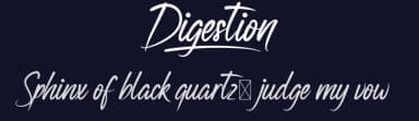 Digestion by NihStudio — Script Handwritten Font — thumbnail 2