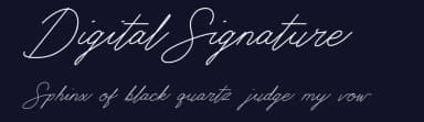 Digital Signature by Ali Hamidi — Script Handwritten Font — thumbnail 2