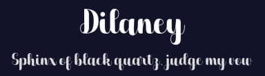 Dilaney by StringLabs Creative Studio — Script Handwritten Font — thumbnail 2