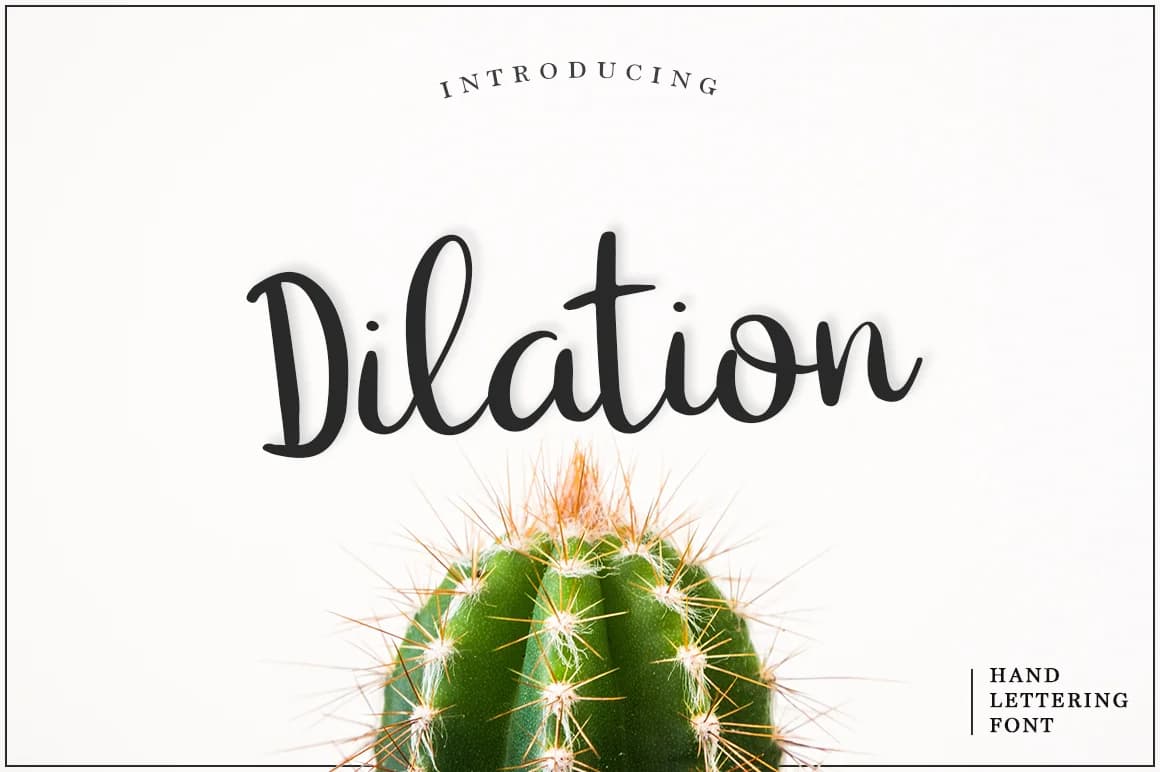 Dilation Font by Pasha Larin — Script Handwritten Font