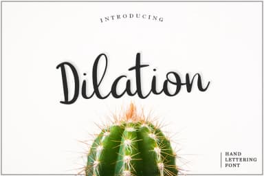 Dilation Font by Pasha Larin — Script Handwritten Font — thumbnail 1