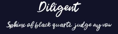 Diligent by Symphony Studio — Script Handwritten Font — thumbnail 2