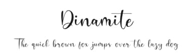 Dinamite by Erik Studio — Script Handwritten Font — thumbnail 1