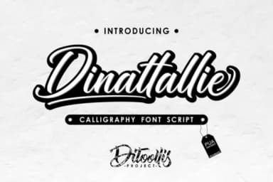 Dinattallie Font by Ditoollis Project — Script Handwritten Font — thumbnail 1