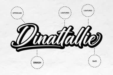 Dinattallie Font by Ditoollis Project — Script Handwritten Font — thumbnail 6