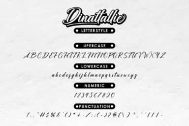 Dinattallie Font by Ditoollis Project — Script Handwritten Font — thumbnail 8