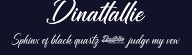Dinattallie by Ditoollis Project — Script Handwritten Font — thumbnail 2